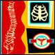 Chiropractors
