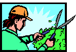 Landscaping and Gardening