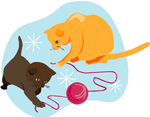 Pets