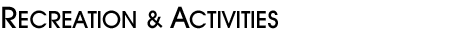 Bellport Recreation and Activities