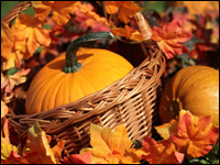 Fall Harvest